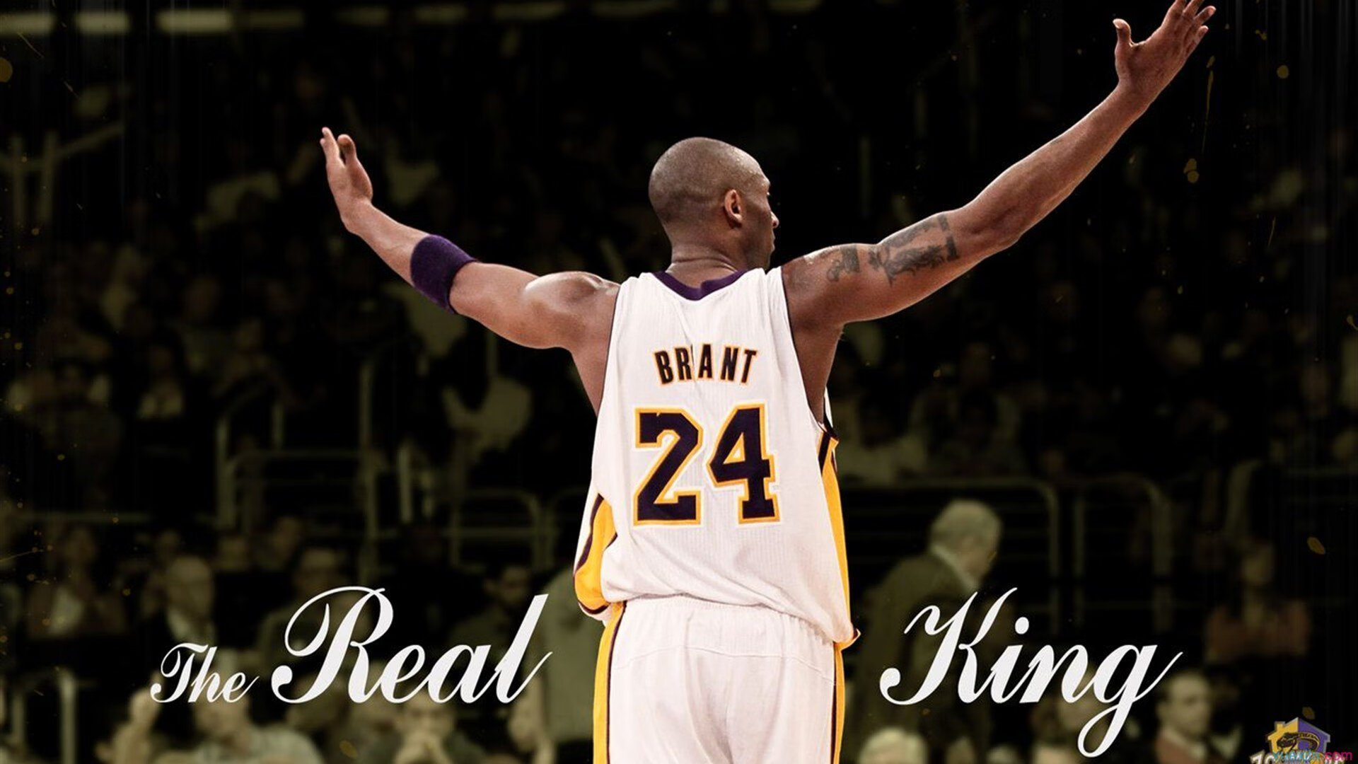 最精彩逆转:那些震撼人心的瞬间!,最惊人的逆转原视频